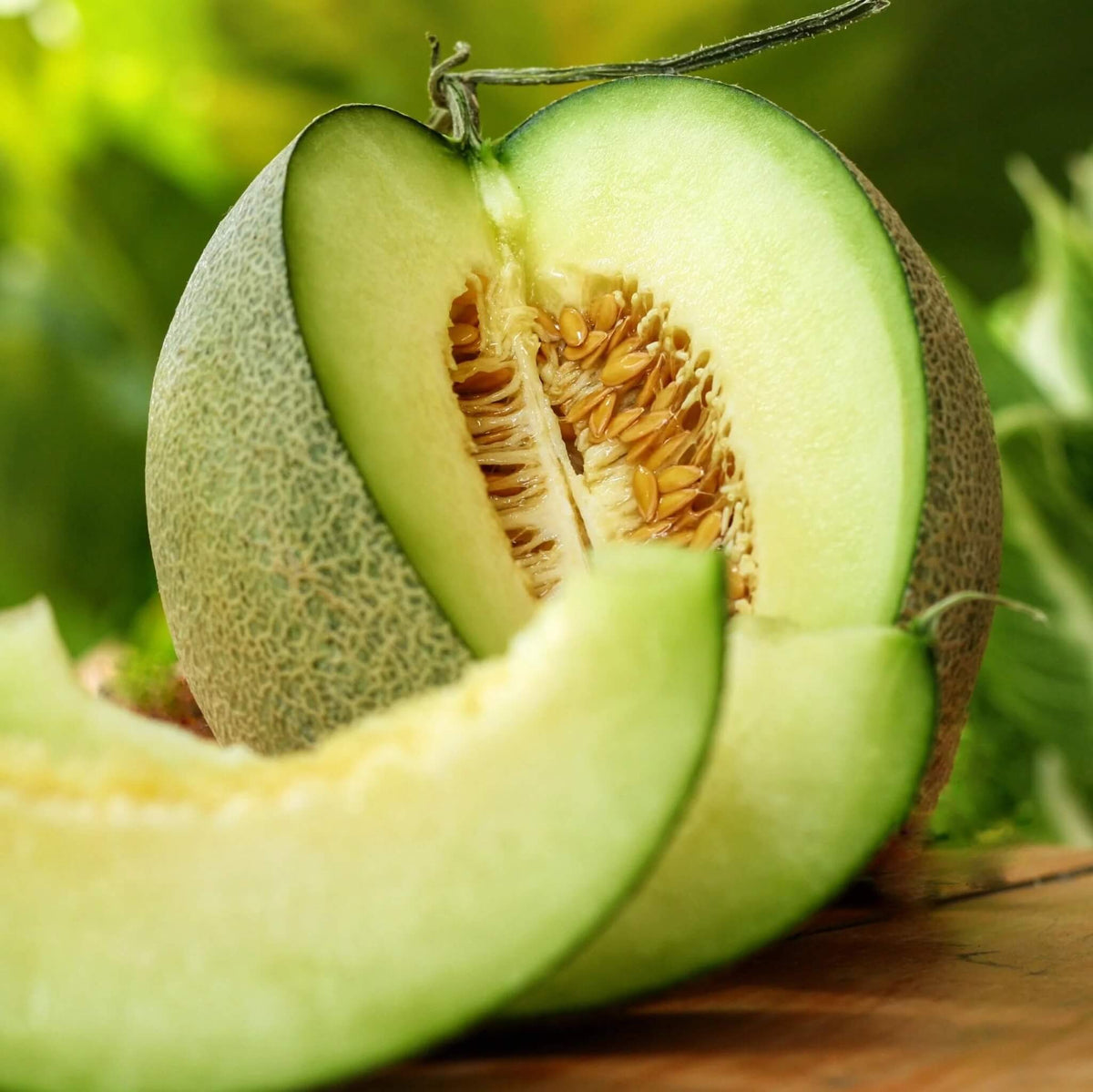Melon Seeds – Rocky Ford Green Flesh