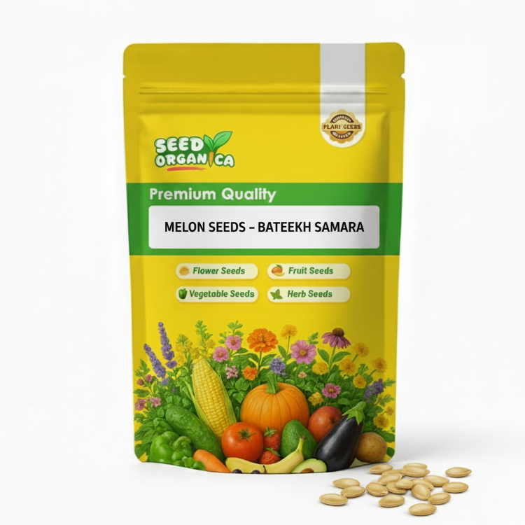 Melon Seeds – Bateekh Samara