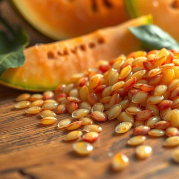 Melon Seeds – Breast