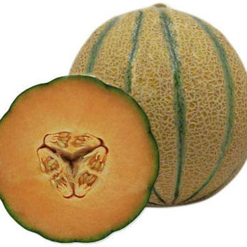 Melon Seeds – Brown Muskmelon
