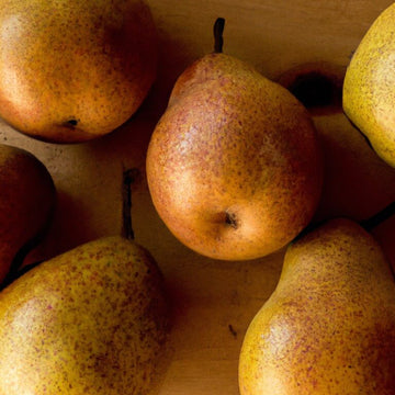 Melon Seeds – Golden Russet Pear