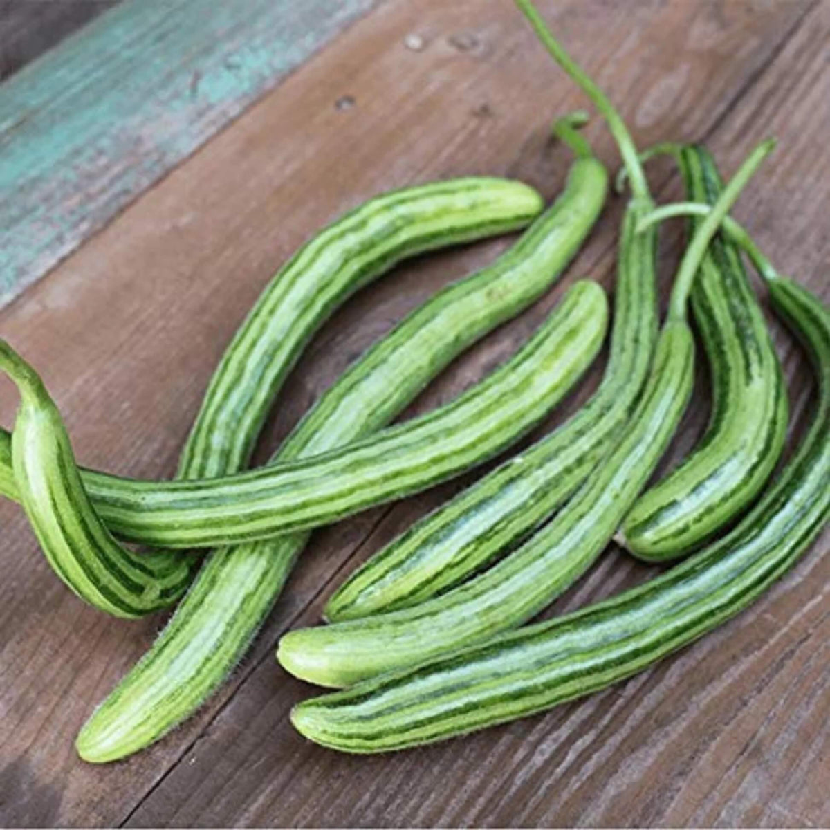Melon Seeds – Green Serpent