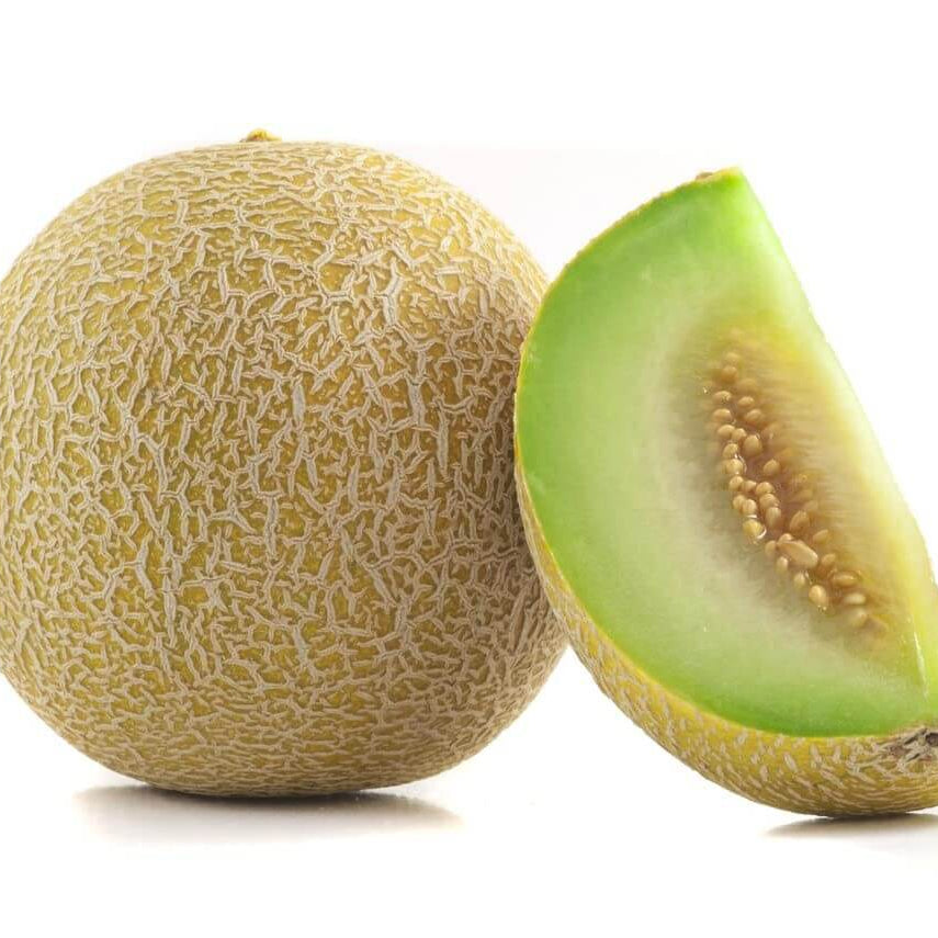 Melon Seeds – Honey Dew