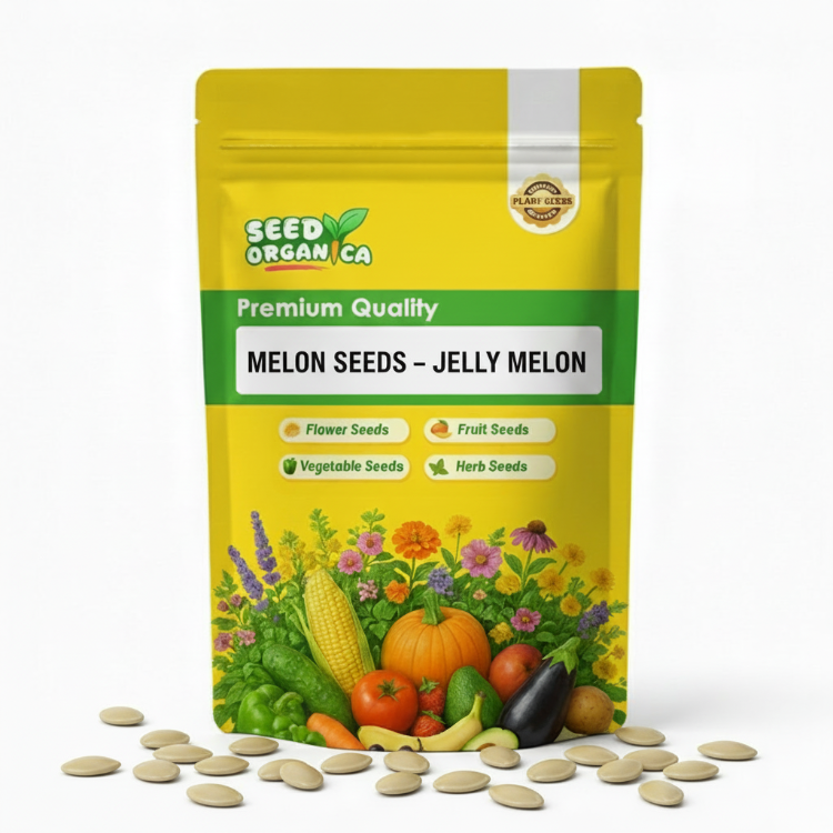 Melon Seeds – Jelly Melon