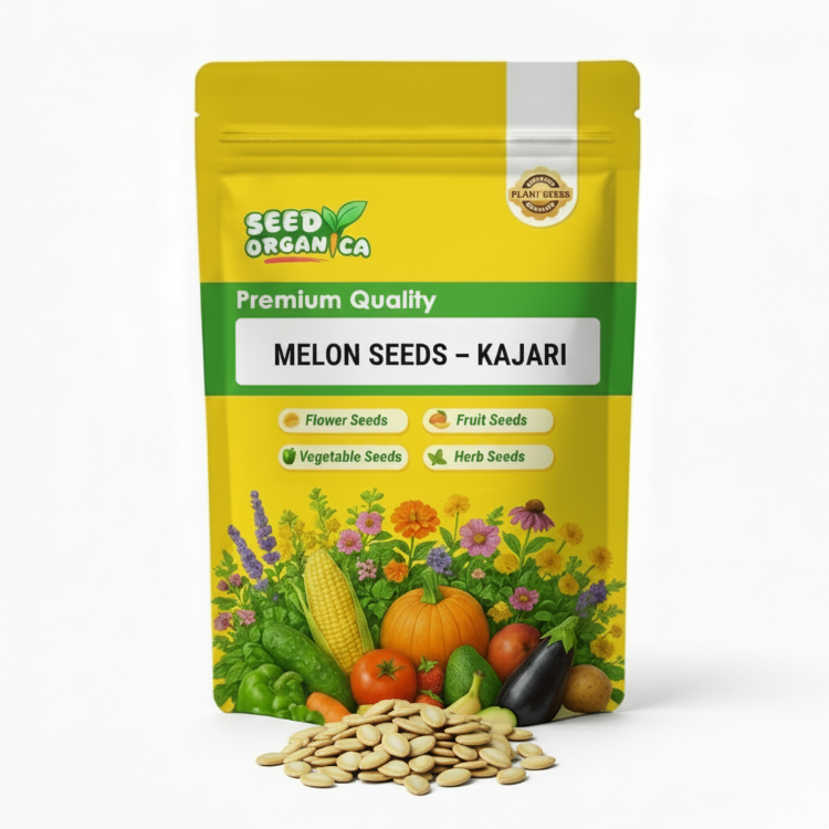 Melon Seeds – Kajari