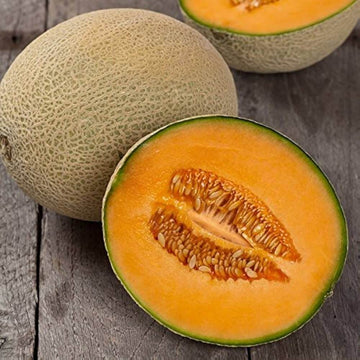 Melon Seeds – Light Orange Cantaloupe