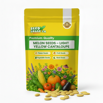 Melon Seeds – Light Yellow Cantaloupe