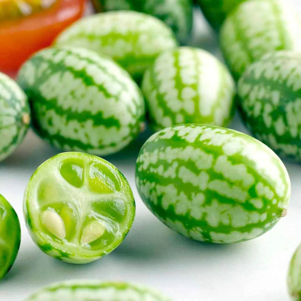 Melon Seeds – Mini
