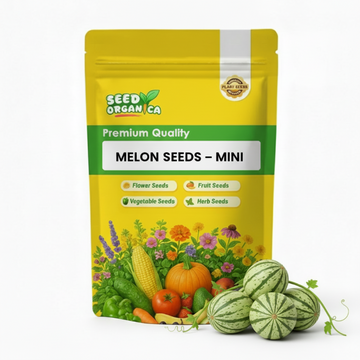 Melon Seeds – Mini
