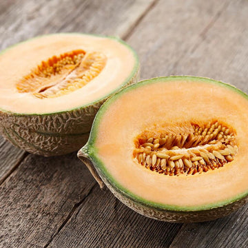 Melon Seeds – Minnesota Cantaloupe