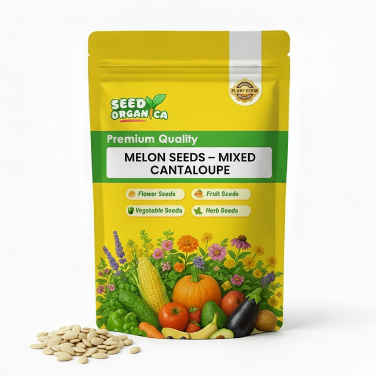 Melon Seeds – Mixed Cantaloupe