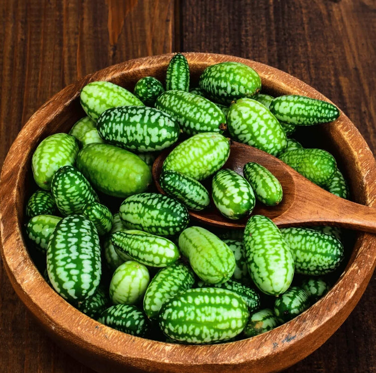 Melon Seeds – Mouse