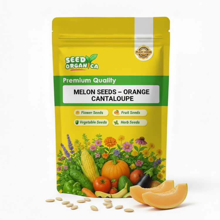 Melon Seeds – Orange Cantaloupe