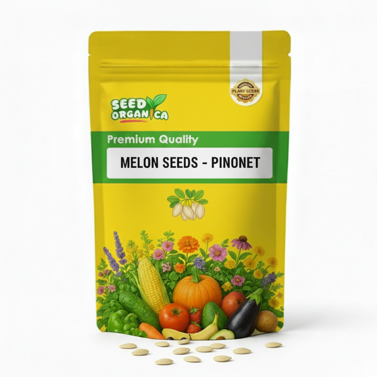 Melon Seeds – Pinonet