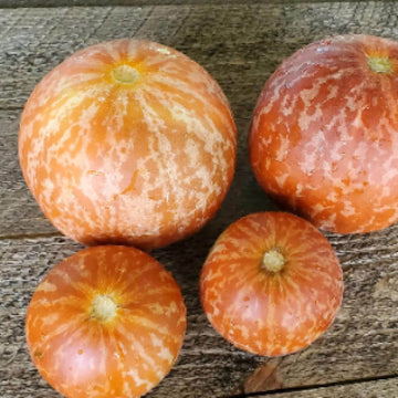 Melon Seeds – Pocket