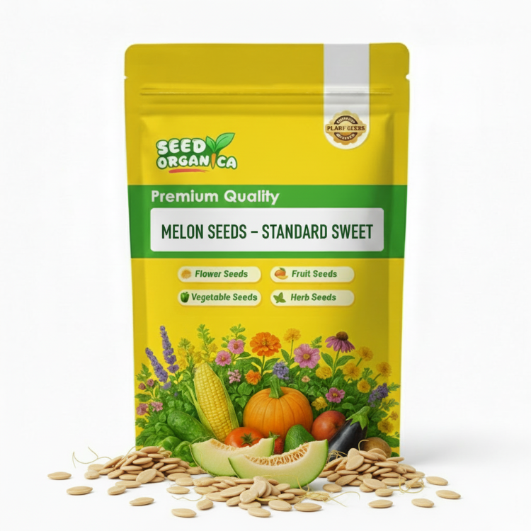 Melon Seeds – Standard Sweet