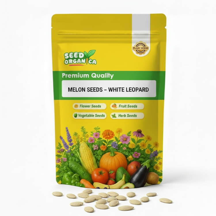 Melon Seeds – White Leopard