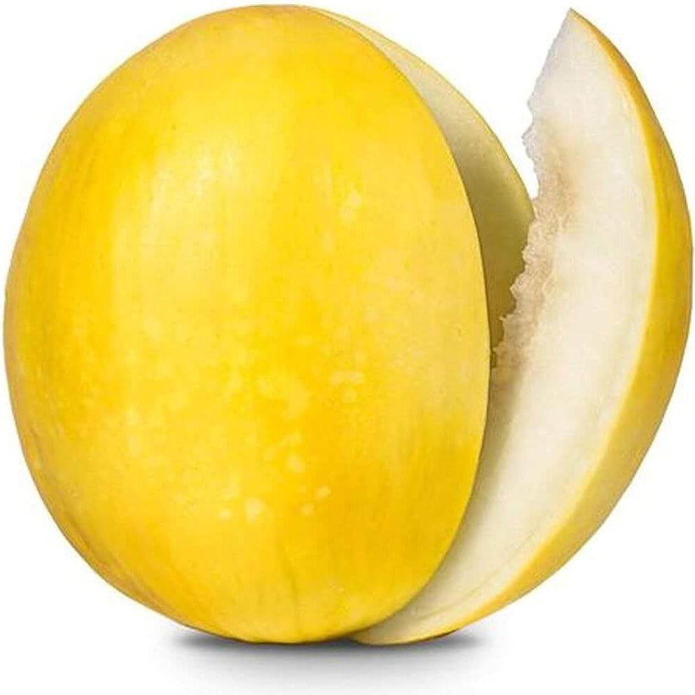 Melon Seeds – Yellow White Musk