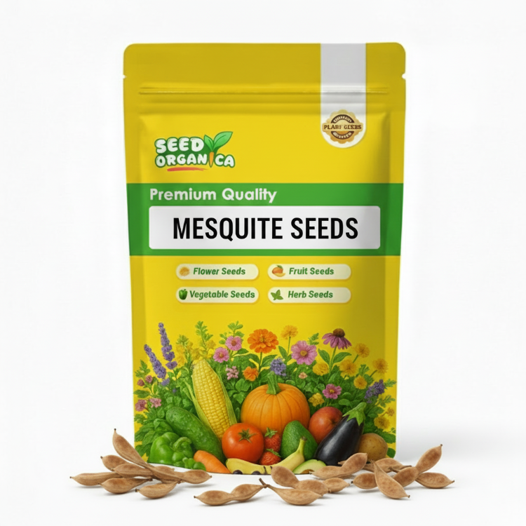 Mesquite Seeds