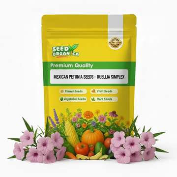 Mexican Petunia Seeds – Ruellia Simplex
