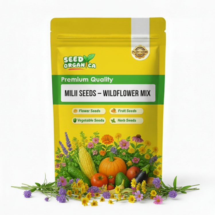 Milii  Seeds – Wildflower Mix