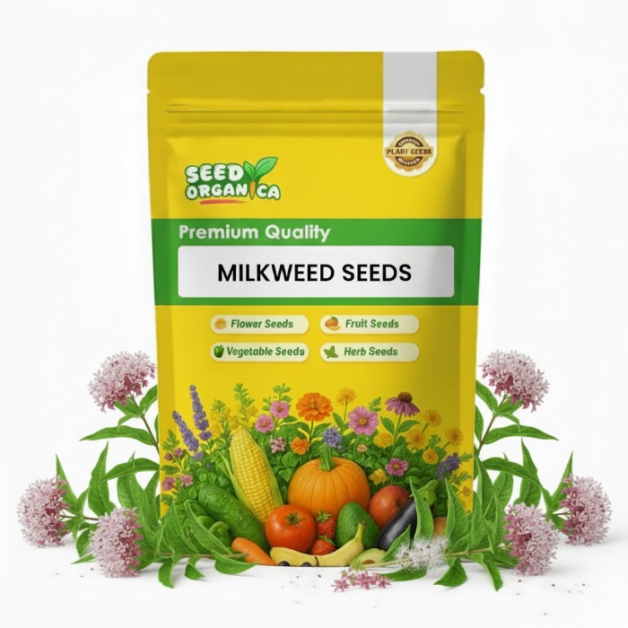 Milkweed Seeds