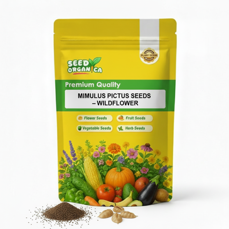 Mimulus Pictus Seeds –  Wildflower
