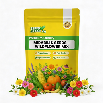 Mirabilis Seeds – Wildflower Mix