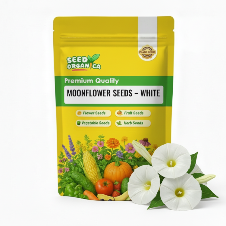 Moonflower Seeds –  White