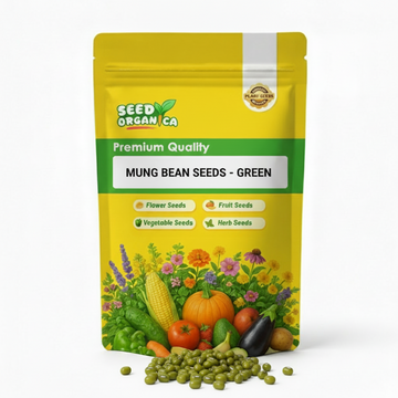 Green Mung Bean Seeds - Vegetable Plant
