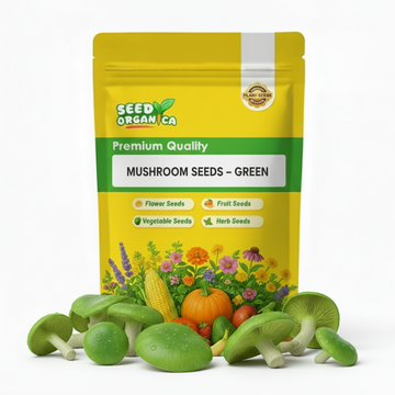 Mushroom Seeds – Green