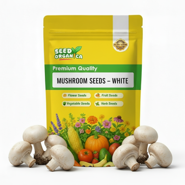 Mushroom Seeds – White