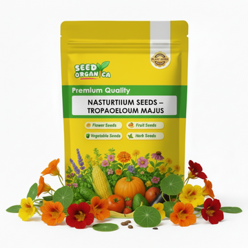 Nasturtium Seeds – Tropaeolum majus