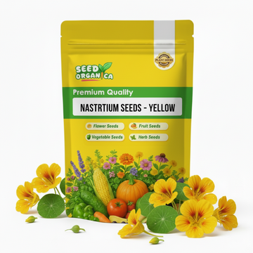 Nasturtium Seeds – Yellow