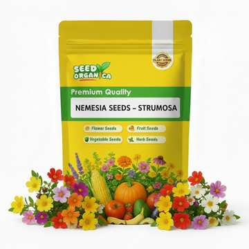 Nemesia Seeds – Strumosa