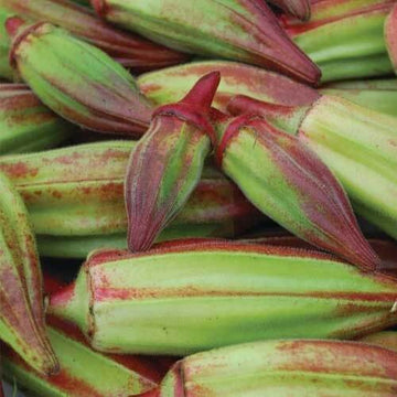 Okra Seeds – Red & Green