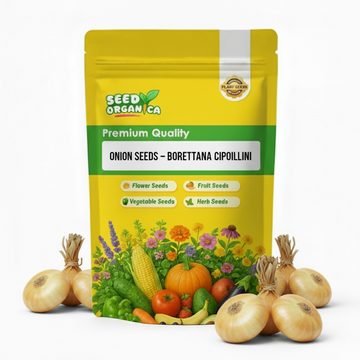 Onion Seeds – Borettana Cipollini