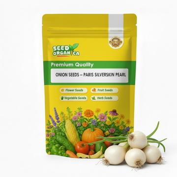Onion Seeds – Paris Silverskin Pearl