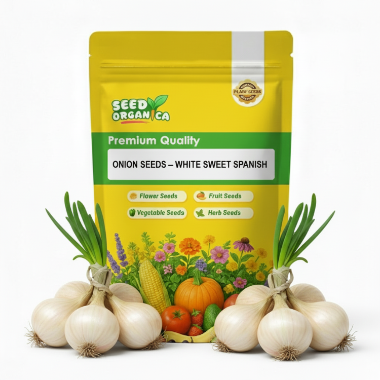 Onion Seeds – White Sweet Spanish