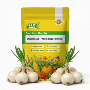 Onion Seeds – White Sweet Spanish