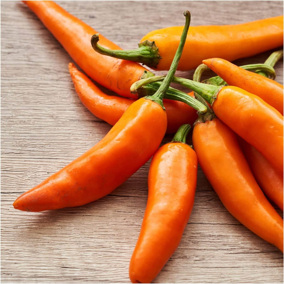 Orange Pepper Seeds 