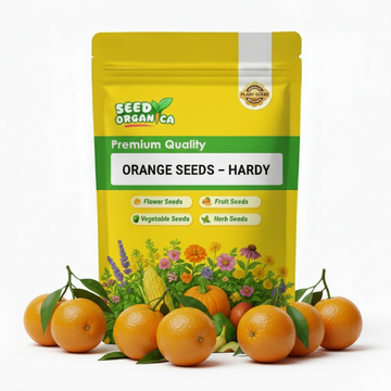 Orange Seeds – Hardy