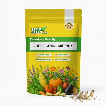 Orchid Seeds – Butterfly