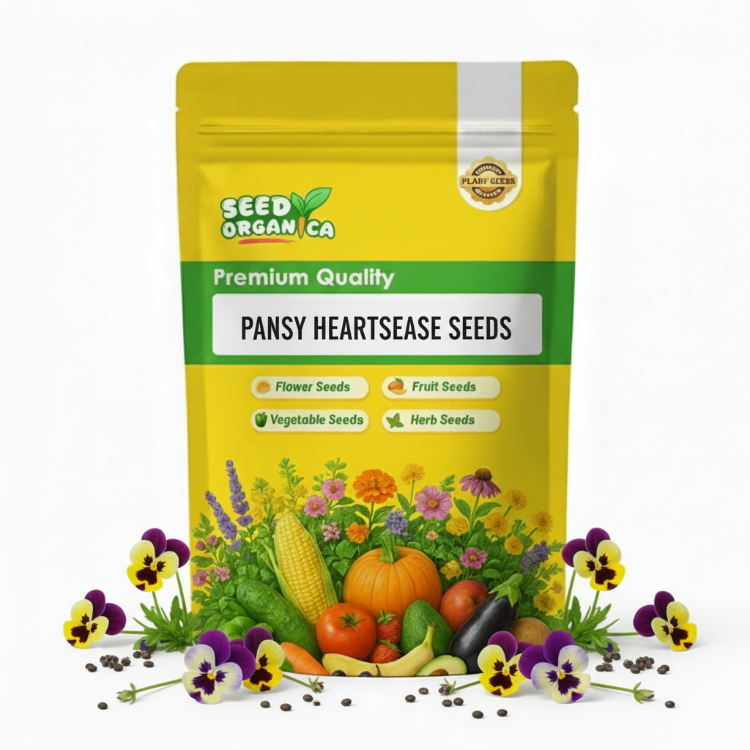 Pansy Heartsease Seeds