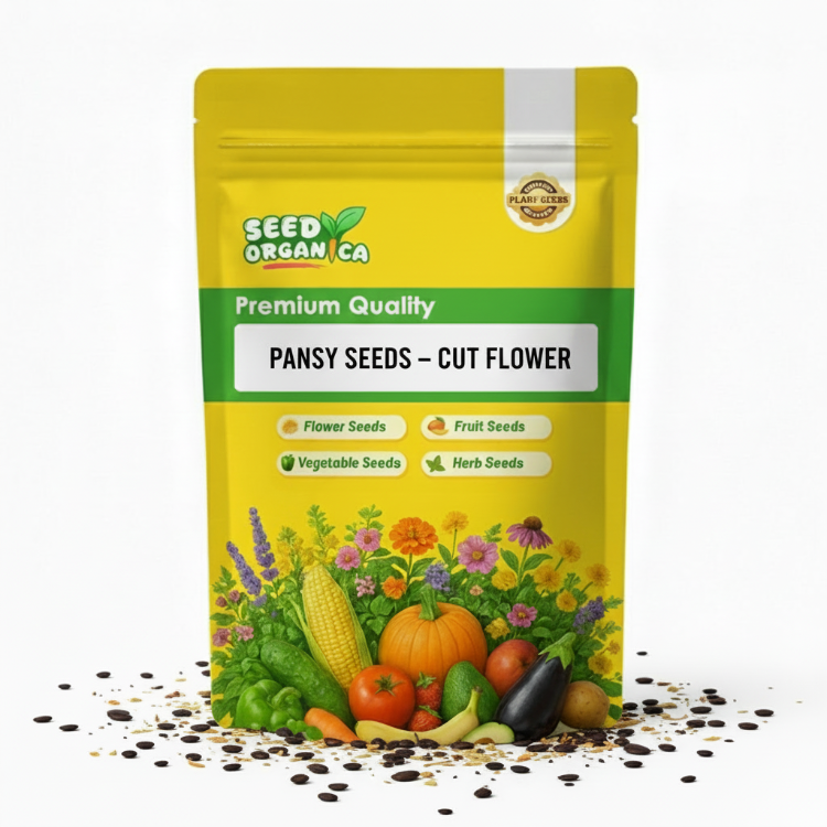 Pansy Seeds – Cut Flower