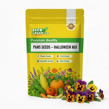 Pansy Seeds – Halloween Mix