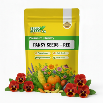 Pansy Seeds – Red
