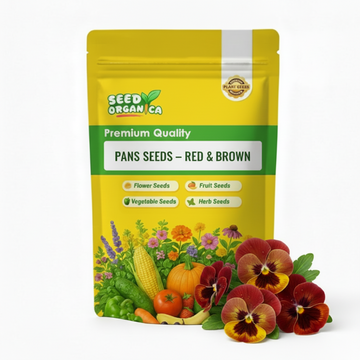 Pansy  Seeds – Red & Brown