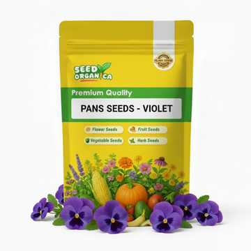 Pansy Seeds – Violet