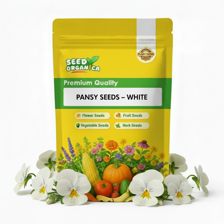 Pansy Seeds – White